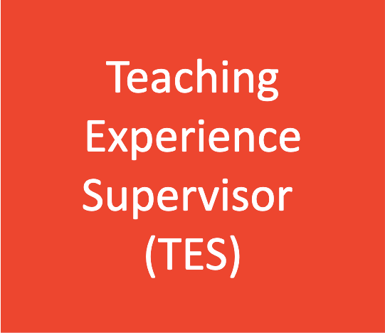 Teaching Experience Supervisor (TES)